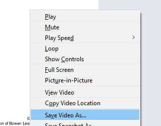 save video as context menu